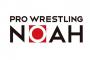 プロレスリング・ノア 1.4 後楽園ホール GHCヘビー級選手権試合 清宮海斗vs潮崎豪【裏ドーム】