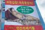 【韓国】前大統領の合成ヌード画 今度は国交相…垂れ幕に「狂った住宅価格 狂った分譲価格 金賢美お前も長官だから共に狂ってる」