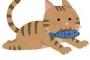 【えぇ…】ワイ「すまん！猫預かってくれ！」マッマ「は？猫嫌いなんだけど…」→結果があああああああｗ