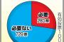 【阪神】甲子園にラッキーゾーンは必要？に約7割が必要ない