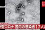 【速報】国内コロナ感染者さらに2人　累計17人