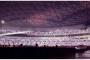【乃木坂46】井上小百合「センター曲のときに、ナゴヤドーム一面が真っ白になっているのがわかりました...」