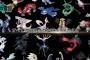 【ポケモン剣盾】準伝ポケモン達は解禁されたら環境を変えられるか