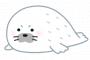 【激可愛】人間みたいな顔したアザラシが見つかってしまうｗｗｗｗｗｗｗｗｗｗｗｗ