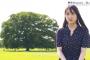 【悲報】菅井友香さん太る