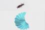 昆虫の中で最も小さく折り畳まれる「ハサミムシ」の羽の仕組み解明…宇宙開発にも応用可能！
