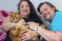 元の飼い主に「どうしても会いたい」64キロを6週間かけて旅した猫がヤバいｗｗｗ