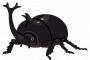 【情報】カブトムシの幼虫はビタミンなどを豊富に含んだ完全食