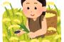 【画像】縄文時代の飯が意外とイケそうだｗｗｗｗｗｗｗｗｗｗｗ