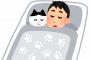 【画像】この猫ちゃんだらけの部屋、どんなニオイしそう？ｗｗｗｗｗｗｗｗｗｗｗｗｗ