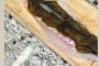 【芸能】おせちの準備進んでる？…工藤静香が手まり寿司の具材画像を公開 「鯛の昆布〆仕込んでいます」