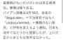 日本共産党「不法滞在というのは在留資格が無いだけの非正規滞在である」