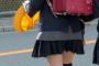 【画像あり】とんでもないヤンキー女子小学生、発見されるｗｗｗｗｗｗｗ