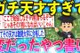 【2ch面白いスレ】今までの人生でガチの天才にあったことあるか？【ゆっくり解説】