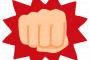【衝撃】大みそか「RIZIN」のカード発表ｗｗｗｗｗｗｗｗｗｗｗ
