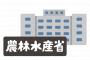 【驚愕】現場猫さん、「農水省」に採用されてしまうｗｗｗｗｗ
