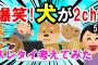 【2ch面白いスレ】爆笑！イッチ もしも犬の世界に２ｃｈがあったら立ちそうなスレタイを書いてけ！イッヌの笑えるネタ大集合！聞き流し・作業用・安眠用・BGMにオススメ【ゆっくり解説】