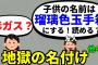 【2ch修羅場】友人「子供の名前は瑠璃色玉手箱にする！読める？」私「毒ガス？」名付けトラブル5選【ゆっくり】【2ch面白いスレ】