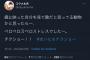 【画像】コウメ太夫のまいにちチクショー、もう訳のわからない領域に突入する