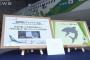 ANAの機体に「サメ肌」フィルムを貼ることで燃費向上…ニコンと共同開発！