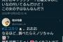 【元乃木坂】桜井玲香が電車の中でとんでもないものを検索してしまうw