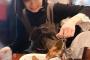 【画像】美少女さんカレーを食べる