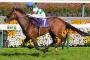 ●エフフォーリアで競馬始めたワイがモチベを維持する方法