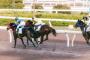 【超衝撃】競馬、とんでもない事実が判明してしまう・・・・・