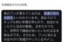 【朗報】22歳最後の日の山内瑞葵さんにとんでもない幸ウンがやってくるｗｗｗｗ