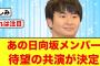 【日向坂46】外番組でオードリーと共演決定におひさまワクワクが止まらない