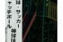 元テレ東アナ、公園の「球技禁止」の看板に「せつない…家の中でゲームしかしないのか」共存できる公共の場を望む