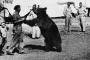 WW2に実在した「クマの兵士」 動物なのにガチで人間扱いの「一般兵」となった理由とは？！