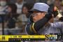 佐藤輝明「打率.289(208-60) 15本40打点 OPS.950」←これについての率直な感想wwwwwwww