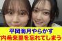 【日向坂46】平岡海月やらかす…竹内希来里を忘れてしまう…【ひななり】【もひなり】