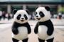 中国人「東京が最も美しく見える場所は恐らくここ」　中国人「東京の繁栄度合いがよくわかる」「これからは左側を予約する」
