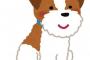 § 義兄夫婦は義実家の集まりに犬を連れて来る。義両親は子供のいない義姉に気を使って、孫であるうちの子に話しかけるように犬に話しかけ、義姉をママと呼ぶ。さらに義姉