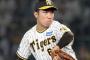 阪神・石井がブルペン投球。既に複数回目で順調な回復たどる