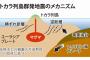 【悲報】トカラ列島さん、まだ揺れ続けて止まらない…