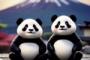 中国人「富士山は観光地化が足りない！こうすればもっと儲かる！」　中国人「セット券も作ろうぜ」「この方式を全世界に広めよう」