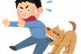 急に犬を怖がるようになった2歳娘。旦那に心当たりがないか聞いてみたら、義実家の犬に手を噛まれたらしい。姑「ワンコタンをこんな風に躾けた私がいけないのヨヨヨ」