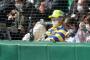 【悲報】甲子園名物ラガーさん、消滅する
