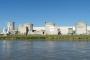 クラゲ大量発生でフランスの原発4基が停止…海洋熱波が引き金に！