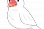 110「事件ですか？事故ですか？」女さん「文鳥が逃げたの！急いで来て！急いで来て！急いで来て！」