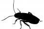 今年はまだ一度も遭遇していないこのまま逃げ切りたい