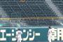 藤浪ら騒然！ 甲子園にドローン出現、球場内に落下