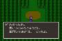 ドラクエ5を攻略本なしでクリア出来た奴って本当にいるの？
