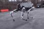 犬型軍用ロボット「スポット」がついに米海兵隊の実地テストへ（動画あり）！