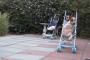 【動画】犬による、犬のための、新しいドッグレース開幕!!!