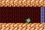 ロックマンのボス前ってなんで扉2つあんの？