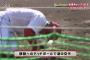 カープアクシデント続出…田中広輔頭部死球で練習切り上げ、一岡は左脇腹痛で投球不可能になり広島で治療・リハビリへ【カープ秋季キャンプ】